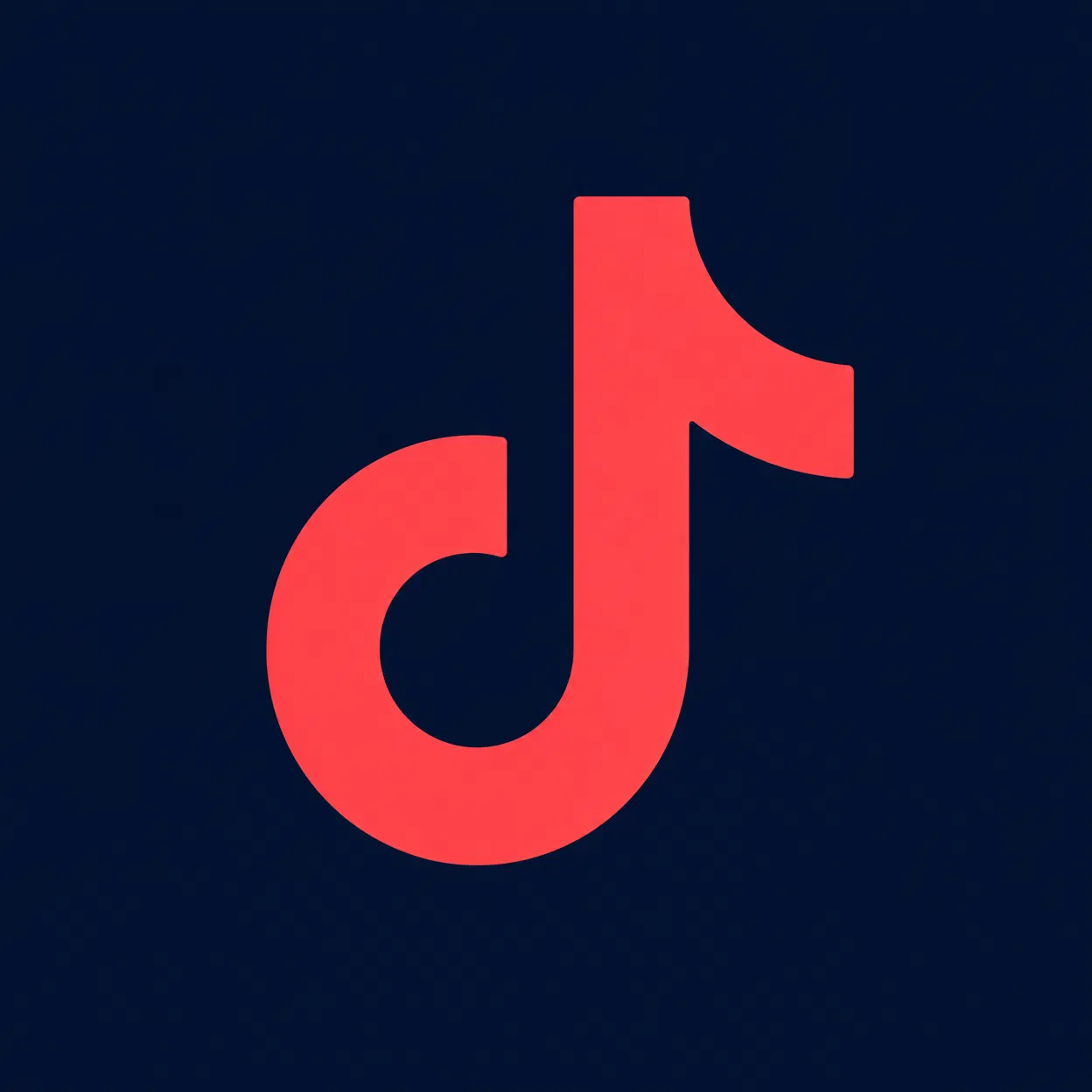 TikTok Feed Add-on Icon